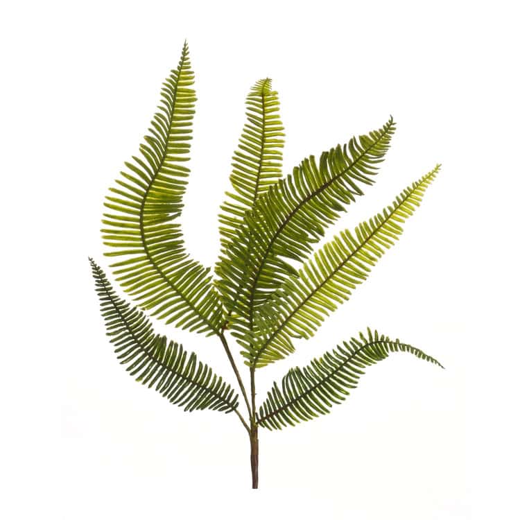 0-1-Melrose-International-Varigated-Fern-Foliage-Spray104655040 Varigated Fern Foliage Spray (Set Of 6) - Image 1