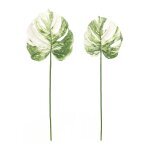 Light Varigated Philo Leaf Stem (Set of 12) - Image 2