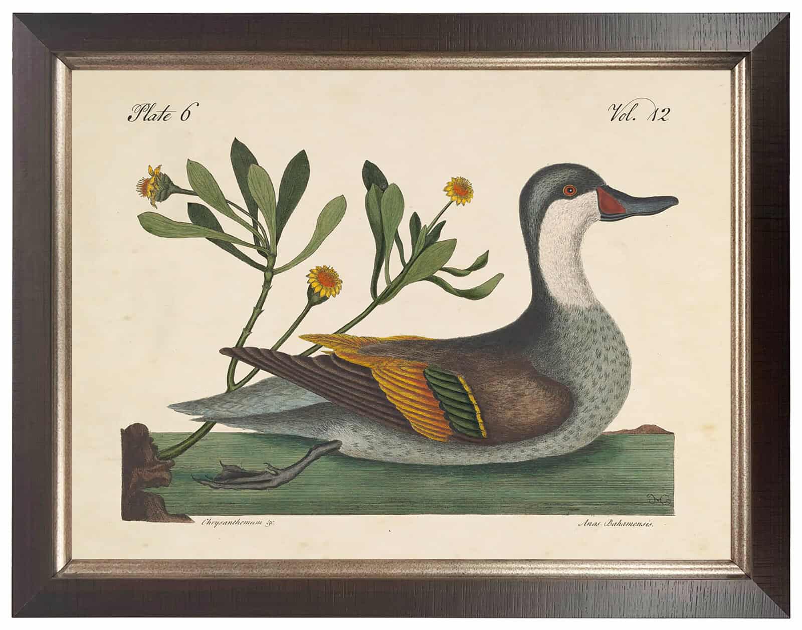 1F68F6E5-3E07-4C07-9E14-3Dd866Bc8B47 Vintage Duck Bookplate On A Distressed Natural Background - Image 1