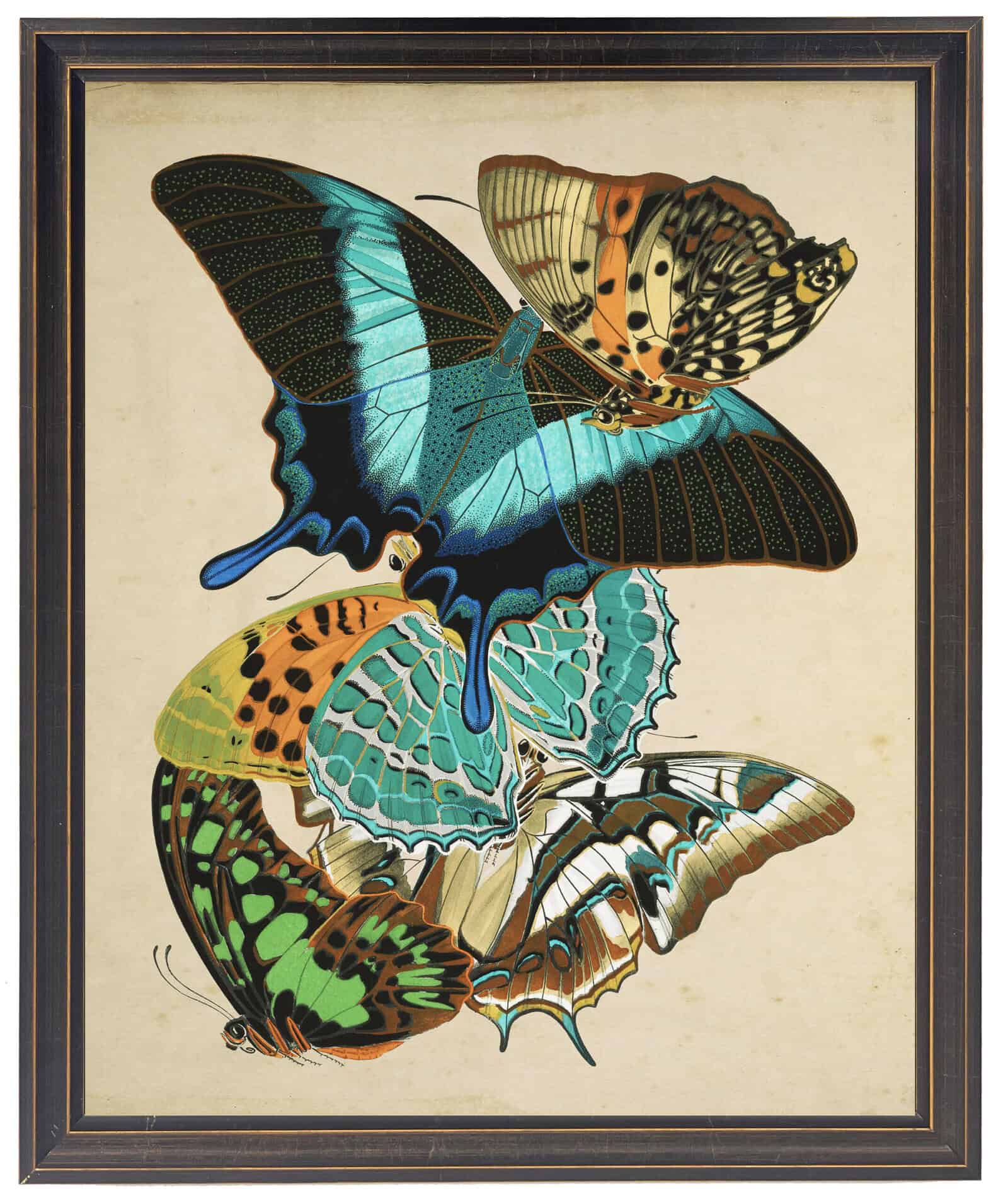 7971211A-A1B8-4253-8324-133510B0131B Vintage Bright Multi Butterfly Print On A Distressed Background - Image 1