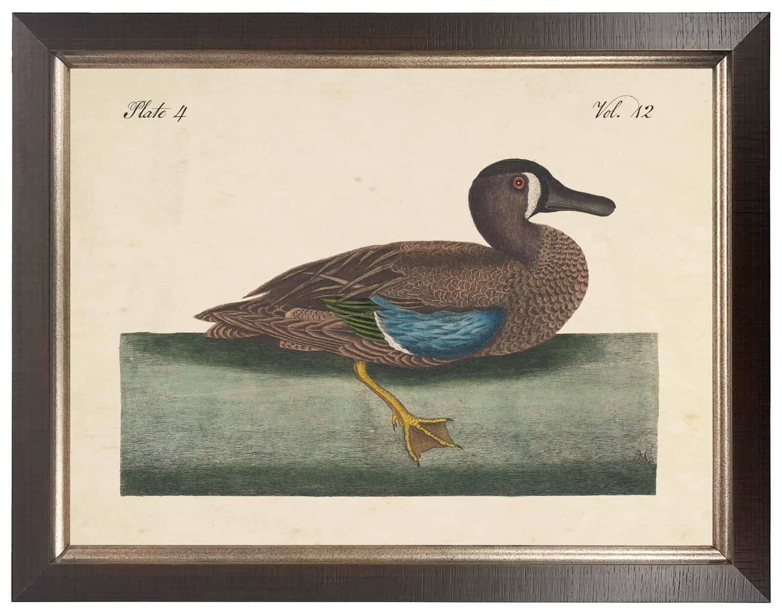 E6F97C22-B1A2-44Bc-Ba14-Fcab6878904C Vintage Duck Bookplate On A Distressed Natural Background - Image 1