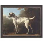 Grey Spotted Hound 35" X 45"