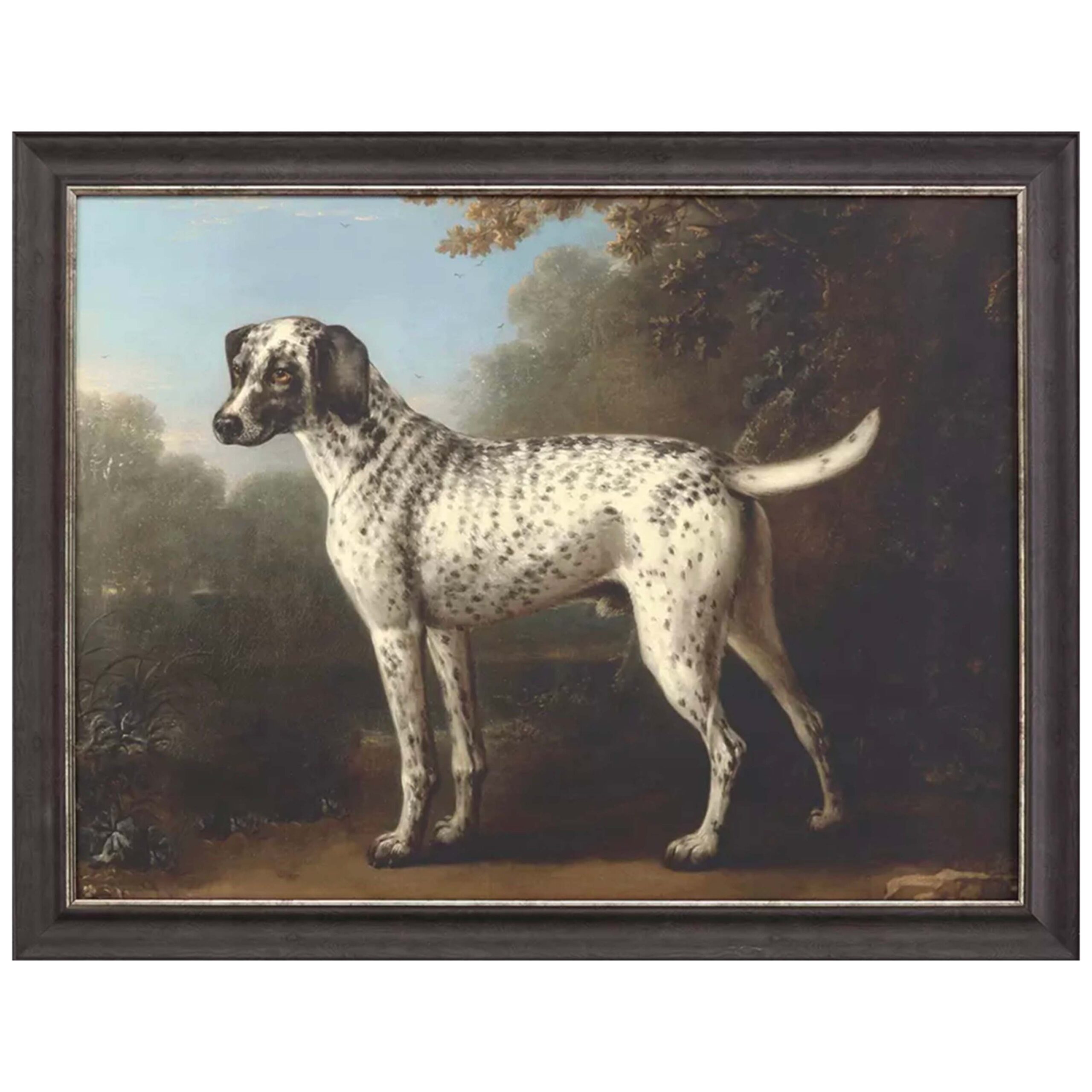 Labor Day Items Grey Spotted Hound 35&Amp;Quot; X 45&Amp;Quot; - Image 1